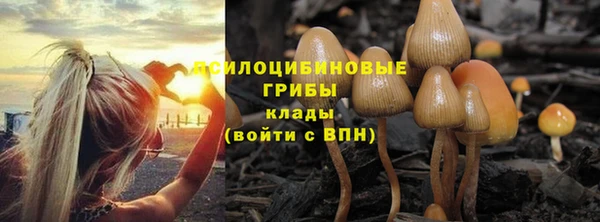 прущая мука Богородицк