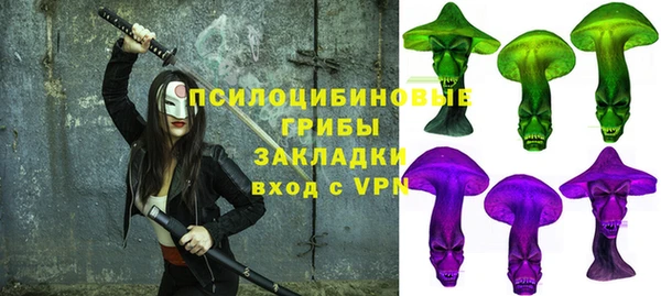 прущая мука Богородицк