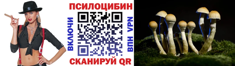 Псилоцибиновые грибы Psilocybine cubensis  Верхотурье 